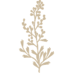 Sagebrush design gold icon representing a sagebrush bush